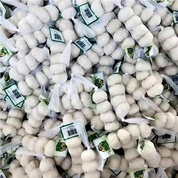 Tewm abjad tas-silġ pur organiku